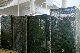 cages.jpg